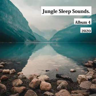 Relaxing Wave Sounds for Sleeping by Sounds by Nature