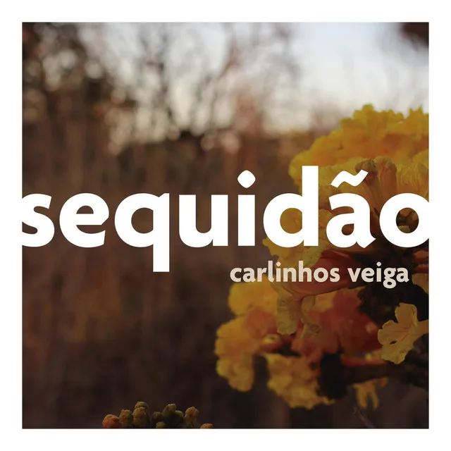 Sequidão