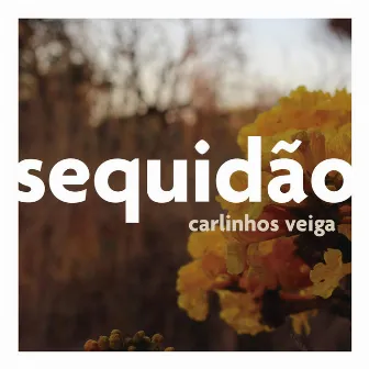 Sequidão by Carlinhos Veiga