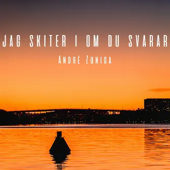 Jag skiter i om du svarar by André Zuniga