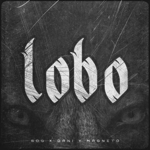 Lobo