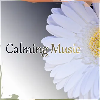 Calming Music – Sleep All Night Quietly, Natural Music for Healing Through Sound and Touch, Sleep Music to Help You Fall Asleep Easily by Sea Dreams Music Universe