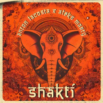 Shakti by Aleks Marty