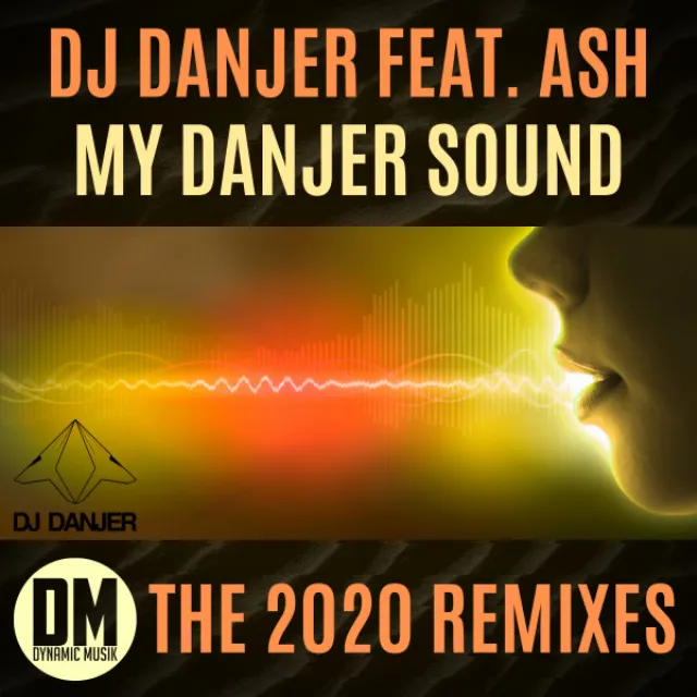 My Danjer Sound - RISC Remix