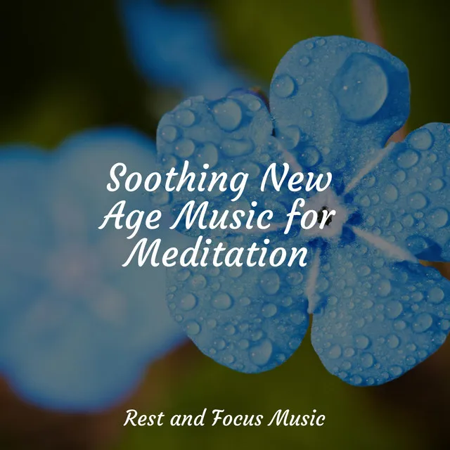 Soothing New Age Music for Meditation