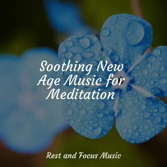 Soothing New Age Music for Meditation by Childrens Music