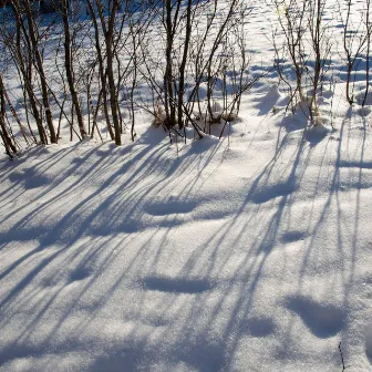 Midwinter cello&piano by Tommy Johansson