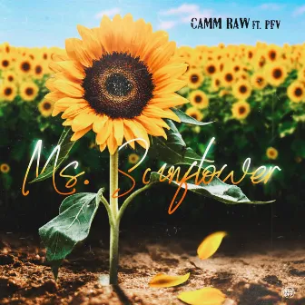 Ms. Sunflower by Camm Raw