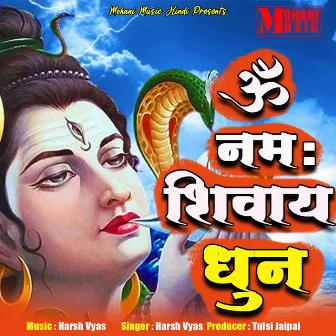 Om Namh Shivay by Tulsi Jaipal