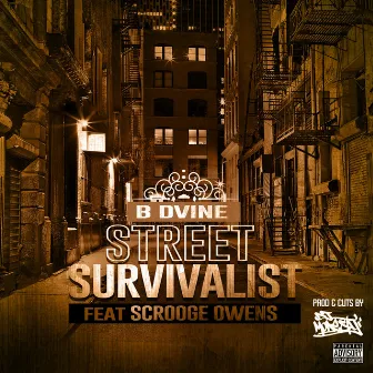 Street Survivalist by B. Dvine