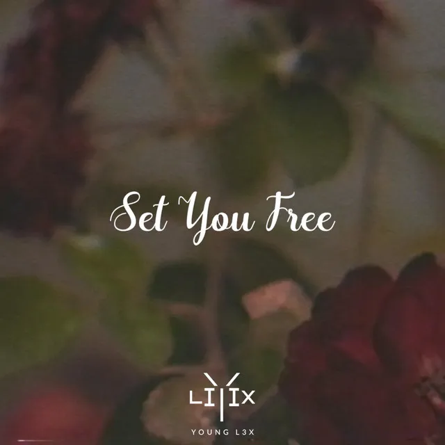 Set You Free