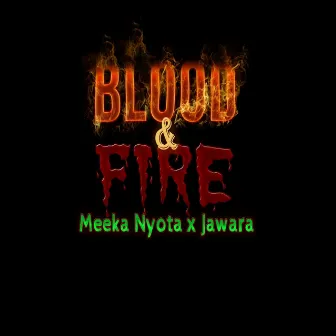 Blood & Fire by Meeka Nyota