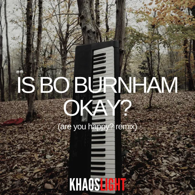 Is Bo Burnham Okay? - Are You Happy Remix