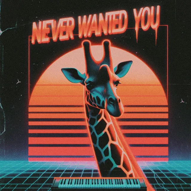 Never Wanted You