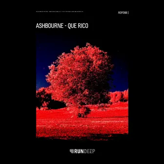 Que Rico by Ashbourne