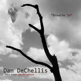 Breathe In by Dan DeChellis