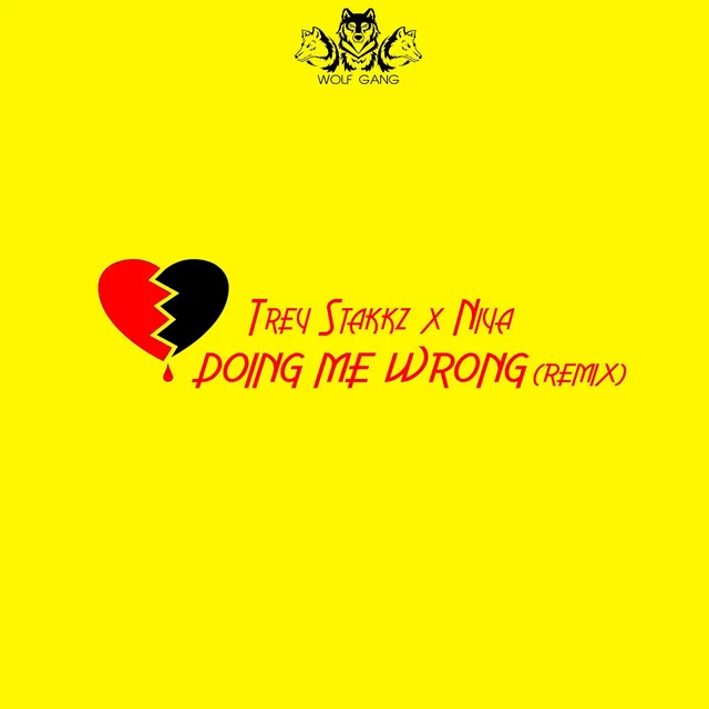 Doing Me Wrong - Remix