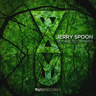 Voyage to Congro by Jerry Spoon