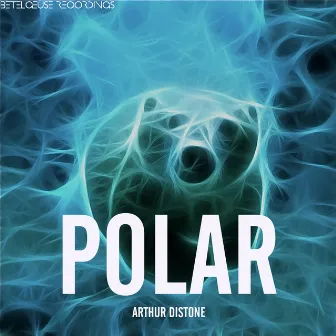 Polar by Arthur Distone