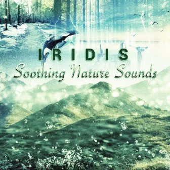 Soothing Nature Sounds by Iridis