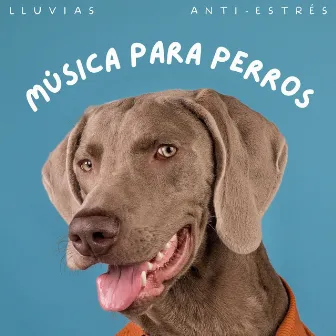 Música Para Perros: Lluvias Anti-Estrés by Perritos Fantásticos