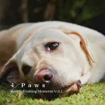 4 Paws: Rain Refreshing Moments Vol. 1 by Songs for Dogs to Sleep To