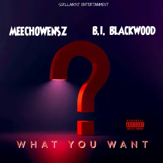 What You Want by Bi Blackwood