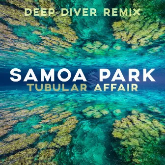 Tubular Affair (Deep Diver Remix) by Deep Diver