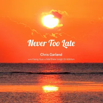 Never Too Late by Chris Garland