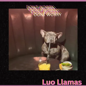 DON'T WORRY by Luo Llamas