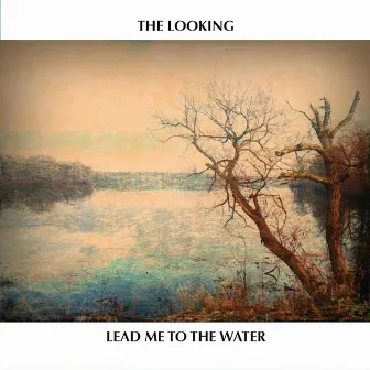 Lead Me to the Water by The Looking