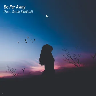 So Far Away by Sarah Siddiqui