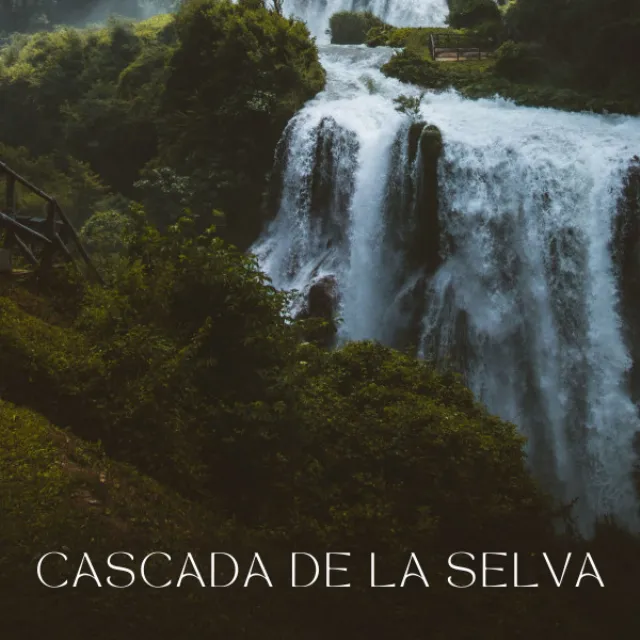 Cascada De La Selva