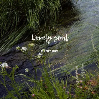 Lovely Soul by Perry James