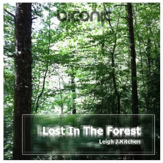 Lost in the Forest by Leigh J.Kitchen