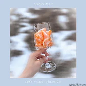 snow day by choice fruits