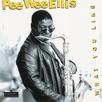 What You Like by Pee Wee Ellis