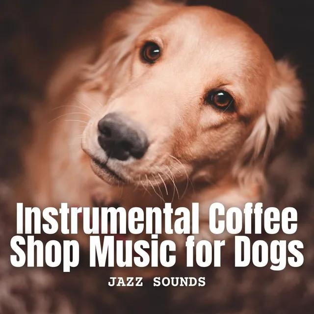 Doggie Dreams and Coffee Jazz