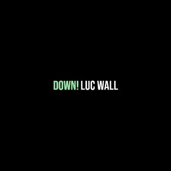 Down! by luc wall