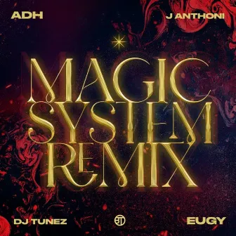 Magic System (DJ Tunez Remix) by ADH