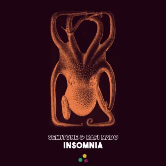 Insomnia by Rafi Nado