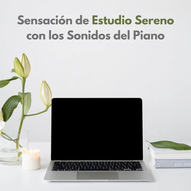 Memoria Suave De Piano