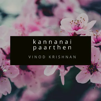 Kannanai Paarthen by Vinod Krishnan