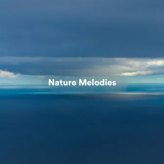 Nature Melodies by La Naturaleza Del Sueño