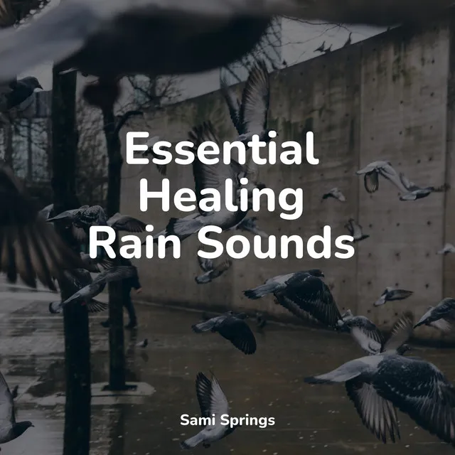 Essential Healing Rain Sounds