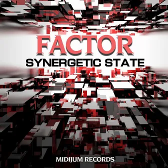 Synergetic State by Factor