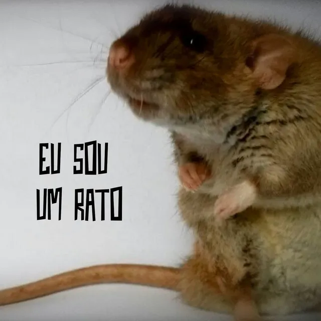 Eu Sou Um Rato