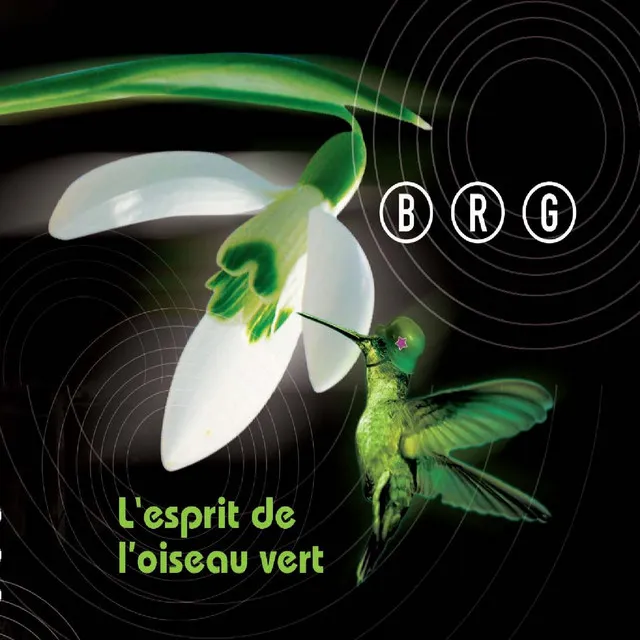 L'esprit de l'oiseau vert