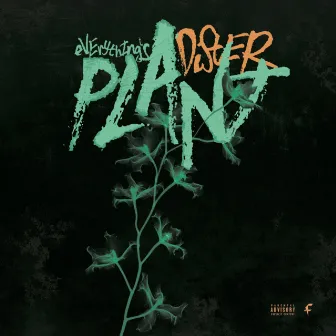 Plant by Dister