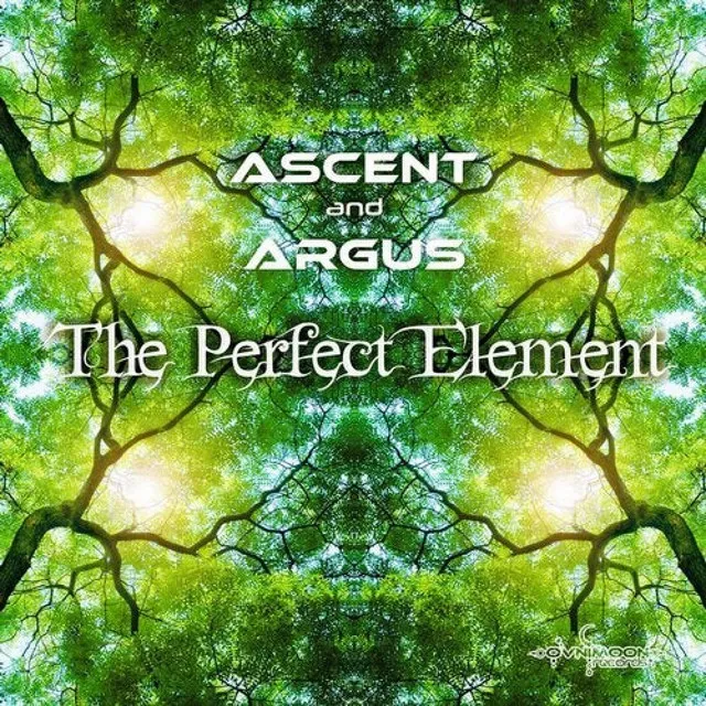 Water the Perfect Element - Original Mix